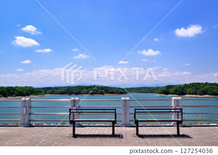 Promenade around Lake Sayama, an artificial lake in Saitama Prefecture Promenade around Lake Sayama, an artificial lake in Saitama Prefecture 127254036