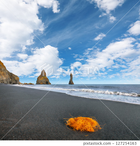 Impressive landscape with basalt rock formations Troll Toes on Black beach Reynisfjara near the village of Vik. Impressive landscape with basalt rock formations Troll Toes on Black beach Reynisfjara near the village of Vik. 127254163