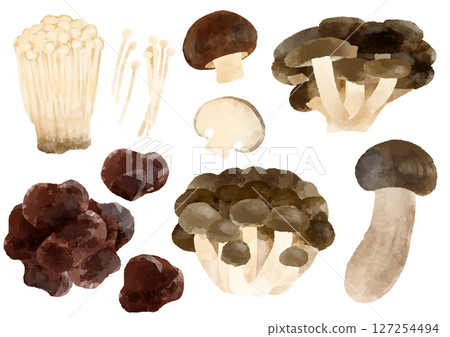 蘑菇圖示插畫手繪水彩風格 127254494