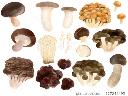 Mushroom icon illustration hand-drawn watercolor style 127254495
