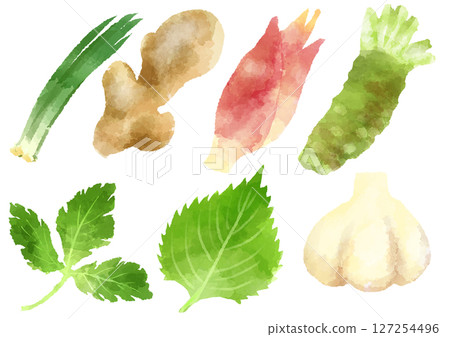 調味品圖示插畫手繪水彩風格 127254496
