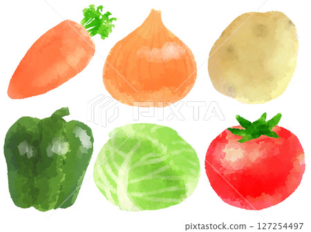 Vegetable icon illustration hand-drawn watercolor style Vegetable icon illustration hand-drawn watercolor style 127254497