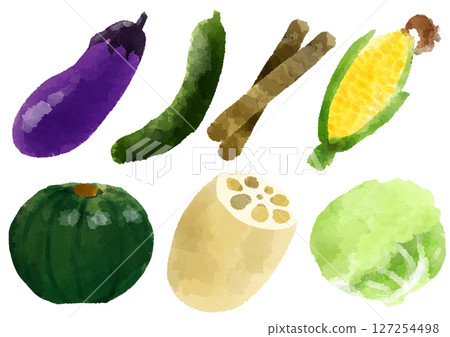 Vegetable icon illustration hand-drawn watercolor style Vegetable icon illustration hand-drawn watercolor style 127254498