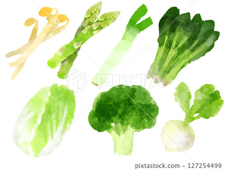 蔬菜圖示插畫手繪水彩風格 蔬菜圖示插畫手繪水彩風格 127254499