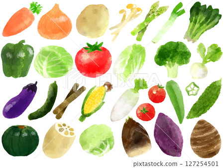 Vegetable icon illustration hand-drawn watercolor style 127254501
