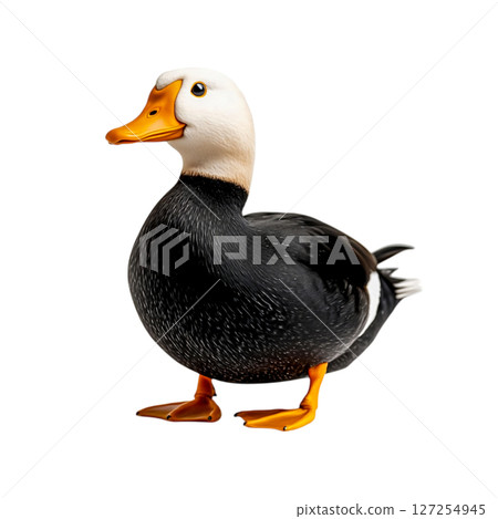 Detailed and Colorful Portrait of a Duck with Unique Feather Patterns and Expression 127254945