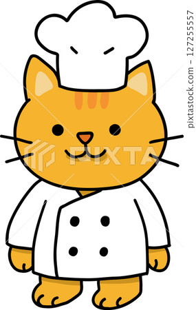 Hand drawn Cat and Career Doodle, Chef cat character wearing a white coat and hat. 127255557