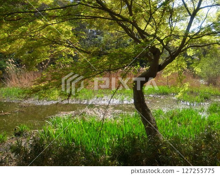 三埠寺 三埠寺 127255775