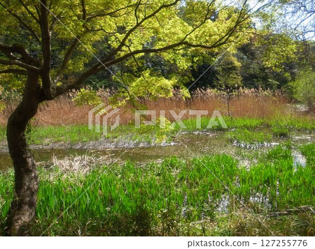 三埠寺 127255776