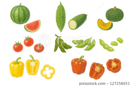 夏季蔬菜插圖集第2號 | 西瓜、苦瓜、毛豆、小番茄、南瓜、辣椒粉 127256051