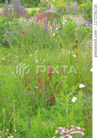 Ikedacho Herb Center Flower and Herb Garden 127256216