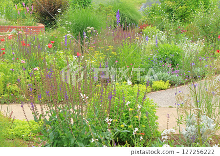 Ikedacho Herb Center Flower and Herb Garden 127256222