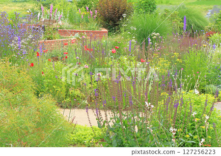 Ikedacho Herb Center Flower and Herb Garden 127256223