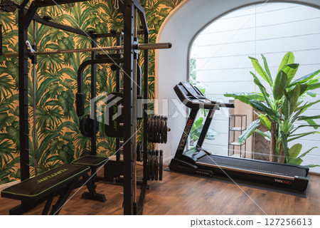 Stylish gym area in a boutique hotel featuring palm leaf wallpaper, a treadmill, weightlifting machine, wooden floors, and a view of lush greenery. 127256613