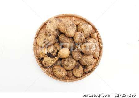 New potatoes with mud on them 127257280