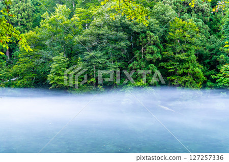 新潟縣龍倉 - 有霧的清晨 127257336