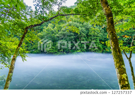 新潟縣龍倉 - 有霧的清晨 127257337