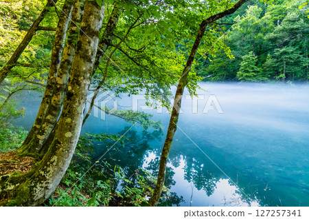 新潟縣龍倉 - 有霧的清晨 新潟縣龍倉 - 有霧的清晨 127257341