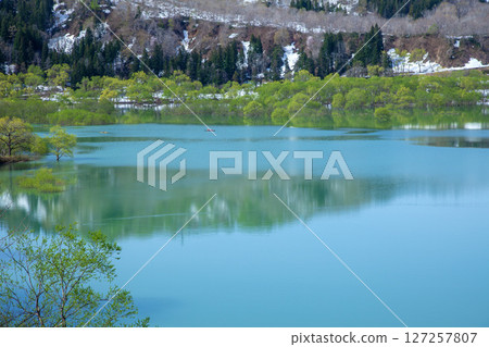 Spring Shirakawa dam lake Spring Shirakawa dam lake 127257807