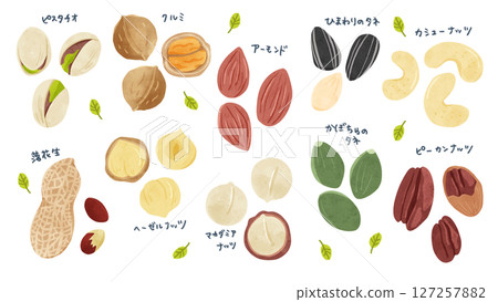 10 種堅果組-水彩手繪插圖 127257882