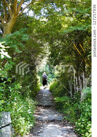 一條樹木覆蓋的小路 127257936