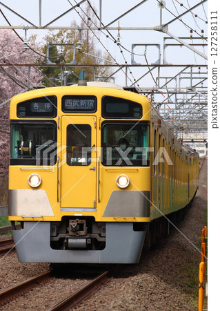 Cherry blossoms and Seibu Shinjuku Line 2000 series telephone (express train - 10 cars: Seibu Shinjuku to Hon-Kawagoe) 127258111