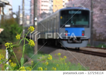 Cherry blossom trees and the Seibu Shinjuku Line 20000 series train (bound for Seibu Shinjuku) 127258114