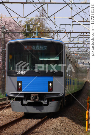 沿著櫻花樹行駛的西武新宿線20000系列列車(特快列車-10輛車:西武新宿至本川越) 沿著櫻花樹行駛的西武新宿線20000系列列車(特快列車-10輛車:西武新宿至本川越) 127258118