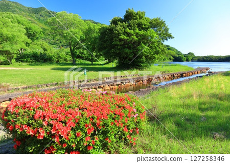 [愛媛郡] 晴天的須川公園（尤拉里內海） 127258346