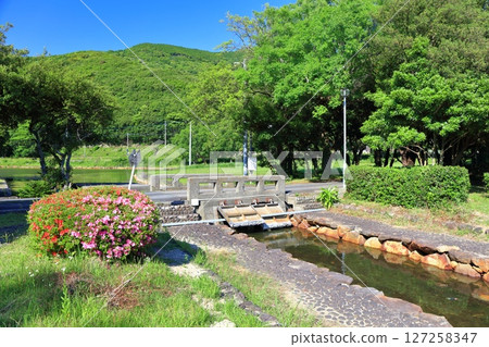 [Ehime Prefecture] Sunokawa Park on a clear day (Yulari Inland Sea) 127258347