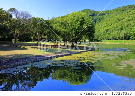 [Ehime Prefecture] Sunokawa Park on a clear day (Yulari Inland Sea) 127258356