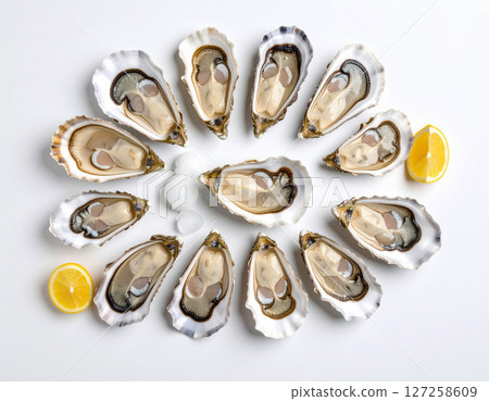 AI generated top view of fresh whole oysters with glistening shells and plump meats arranged neatly showcasing luxury seafood against clean white background AI generated top view of fresh whole oysters with glistening shells and plump meats arranged neatly showcasing luxury seafood against clean white background 127258609