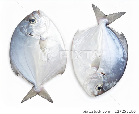 AI generated top view of fresh whole silver pomfret fish with shiny skin and clear eyes arranged neatly showcasing natural color against clean white background 127259196
