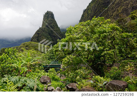 伊歐針 (Iao Needle)，伊歐谷州立公園 (Iao Valley State Park)，毛伊島 127259198
