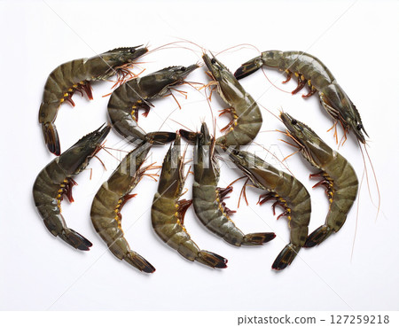 AI generated top view of fresh whole black tiger prawns with glossy shells and vibrant color arranged neatly showcasing natural beauty against clean white background 127259218