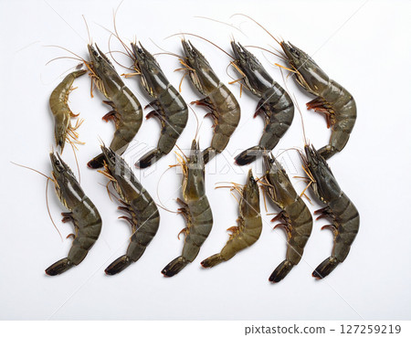 AI generated top view of fresh whole black tiger prawns with glossy shells and vibrant color arranged neatly showcasing natural beauty against clean white background 127259219