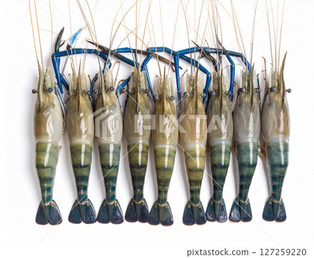 AI generated top view of fresh whole giant river prawns with vivid blue-black shells and long claws arranged neatly showcasing premium quality against clean white background 127259220