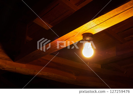 Attic light bulb 127259476