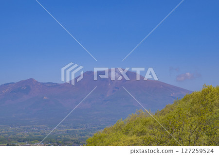 Fresh green Mt. Asama Clear sky material 127259524
