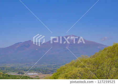 Fresh green Mt. Asama Clear sky material 127259525