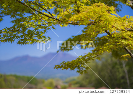 Fresh green Mt. Asama Clear sky material 127259534