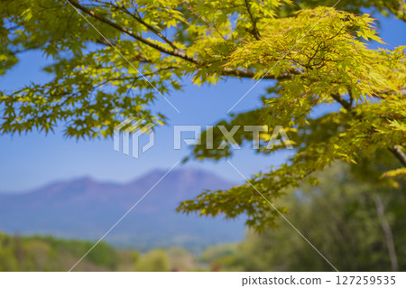 Fresh green Mt. Asama Clear sky material 127259535