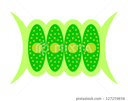簡單插圖素材2 簡單插圖素材2 127259656