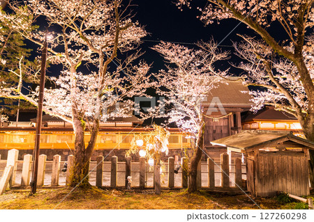 Cherry blossoms at night at Aso Shrine in Kumamoto Prefecture Cherry blossoms at night at Aso Shrine in Kumamoto Prefecture 127260298