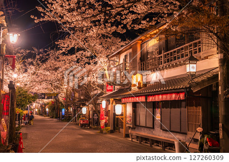 Cherry blossoms at night in Aso Monzencho Shopping Street, Kumamoto Prefecture Cherry blossoms at night in Aso Monzencho Shopping Street, Kumamoto Prefecture 127260309