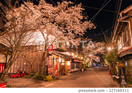 熊本縣阿蘇門前町商店街的夜櫻 熊本縣阿蘇門前町商店街的夜櫻 127260311