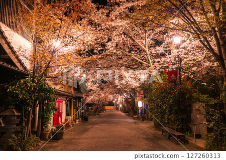 熊本縣阿蘇門前町商店街的夜櫻 熊本縣阿蘇門前町商店街的夜櫻 127260313