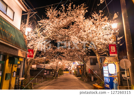 熊本縣阿蘇門前町商店街的夜櫻 127260315