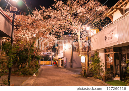 熊本縣阿蘇門前町商店街的夜櫻 127260316