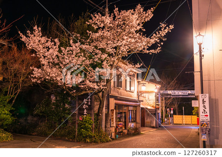 熊本縣阿蘇門前町商店街的夜櫻 127260317